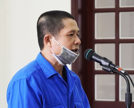 Kẻ cưa 26 cây bông giấy ở Vũng Tàu lĩnh 7 năm tù
